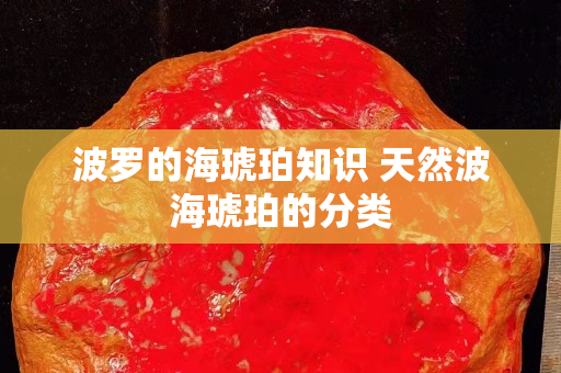 波罗的海琥珀知识 天然波海琥珀的分类