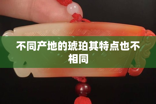 不同产地的琥珀其特点也不相同