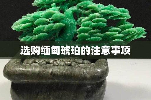 选购缅甸琥珀的注意事项