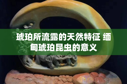 琥珀所流露的天然特征 缅甸琥珀昆虫的意义