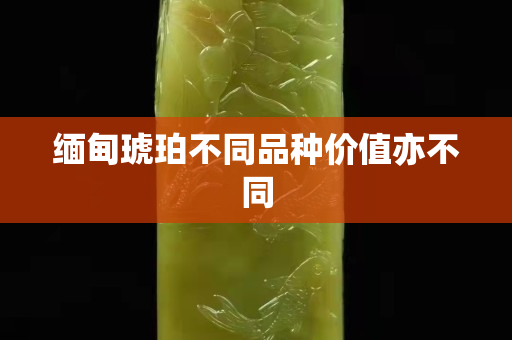 缅甸琥珀不同品种价值亦不同