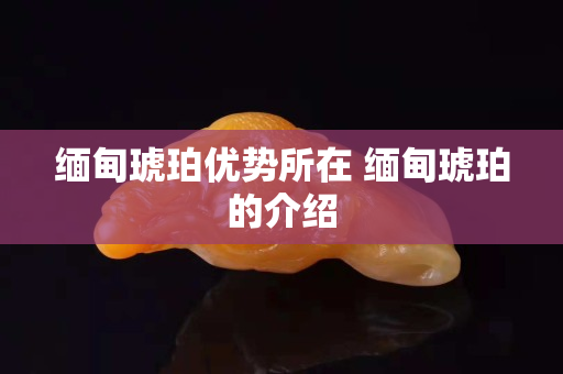 缅甸琥珀优势所在 缅甸琥珀的介绍