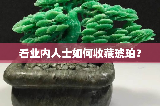 看业内人士如何收藏琥珀？