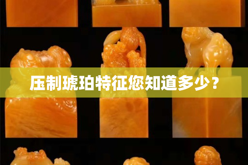 压制琥珀特征您知道多少？