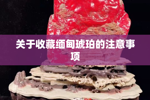 关于收藏缅甸琥珀的注意事项