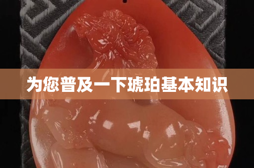 为您普及一下琥珀基本知识