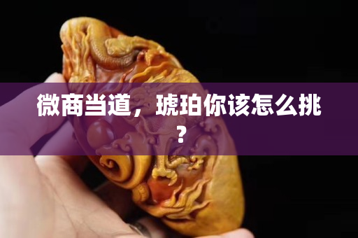 微商当道，琥珀你该怎么挑？