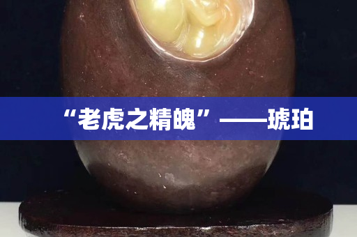 “老虎之精魄”——琥珀