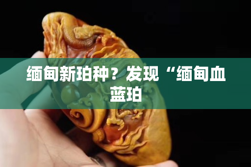 缅甸新珀种？发现“缅甸血蓝珀