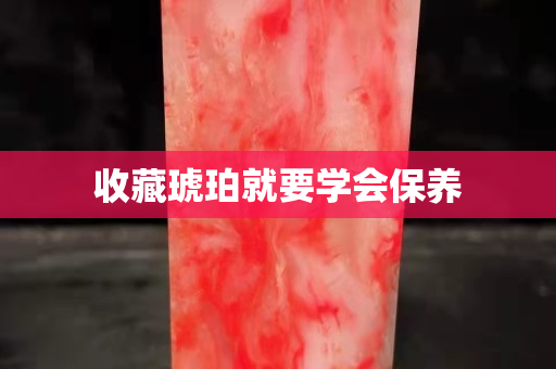 收藏琥珀就要学会保养