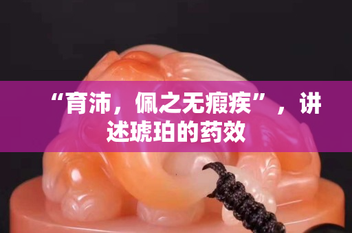 “育沛，佩之无瘕疾”，讲述琥珀的药效