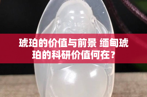 琥珀的价值与前景 缅甸琥珀的科研价值何在？