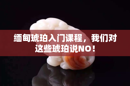 缅甸琥珀入门课程，我们对这些琥珀说NO！