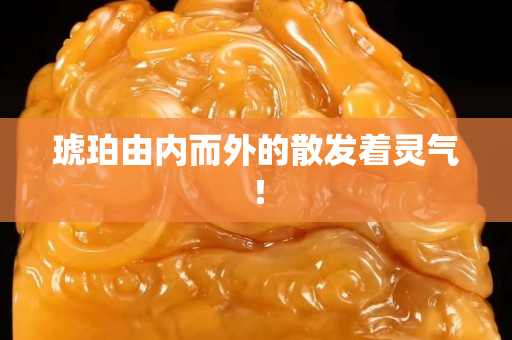 琥珀由内而外的散发着灵气！