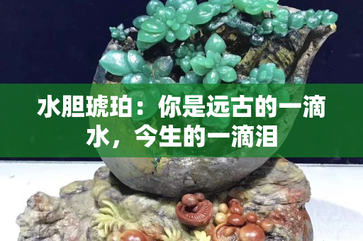 水胆琥珀：你是远古的一滴水，今生的一滴泪