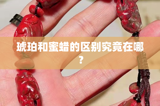 琥珀和蜜蜡的区别究竟在哪？