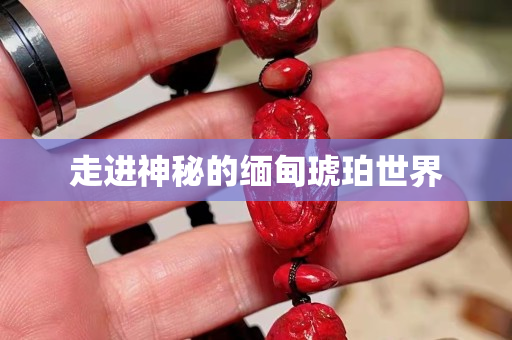 走进神秘的缅甸琥珀世界