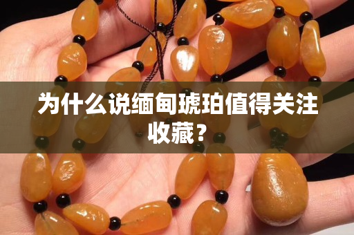为什么说缅甸琥珀值得关注收藏？