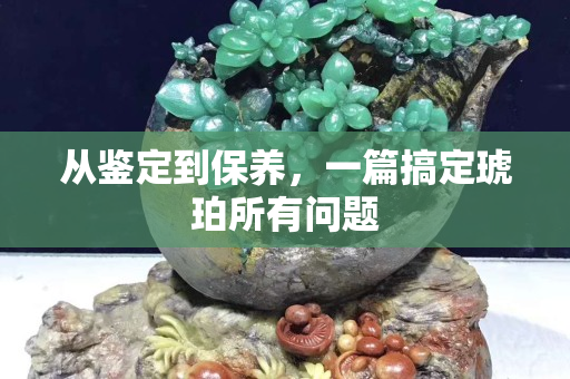 从鉴定到保养，一篇搞定琥珀所有问题