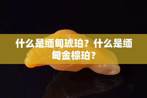 什么是缅甸琥珀？什么是缅甸金棕珀？