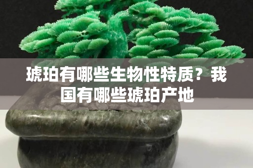 琥珀有哪些生物性特质？我国有哪些琥珀产地