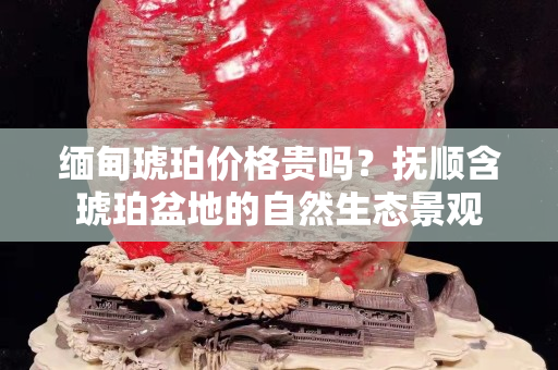 缅甸琥珀价格贵吗？抚顺含琥珀盆地的自然生态景观