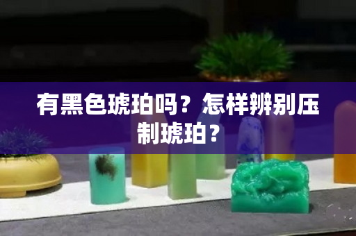 有黑色琥珀吗？怎样辨别压制琥珀？