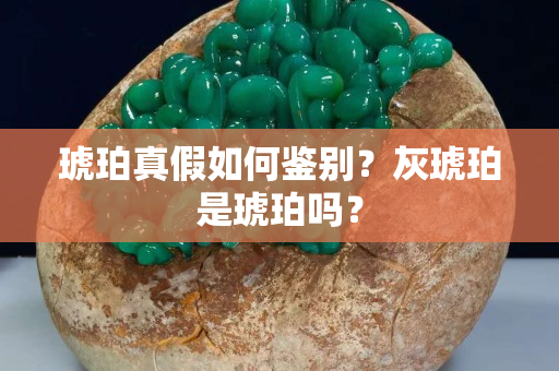 琥珀真假如何鉴别？灰琥珀是琥珀吗？