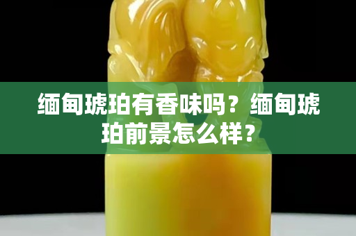 缅甸琥珀有香味吗？缅甸琥珀前景怎么样？