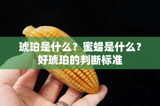 琥珀是什么？蜜蜡是什么？好琥珀的判断标准