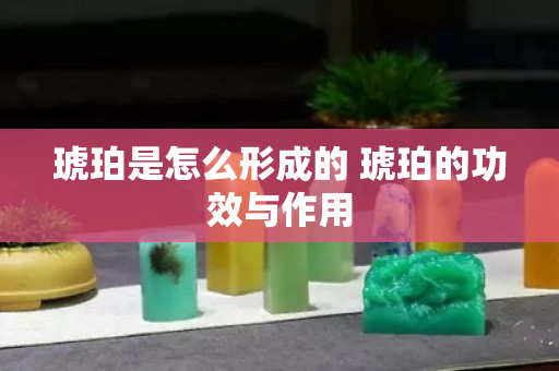 琥珀是怎么形成的 琥珀的功效与作用