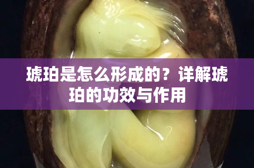 琥珀是怎么形成的？详解琥珀的功效与作用