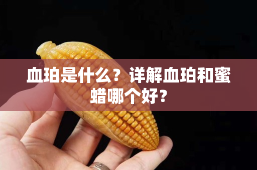 血珀是什么？详解血珀和蜜蜡哪个好？
