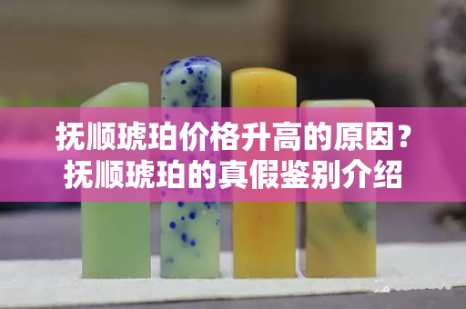 抚顺琥珀价格升高的原因？抚顺琥珀的真假鉴别介绍