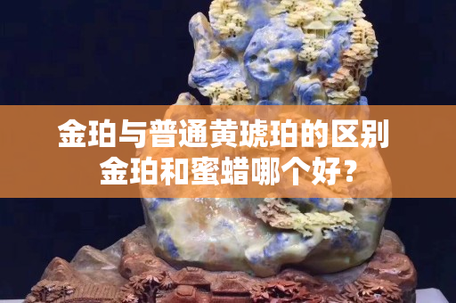 金珀与普通黄琥珀的区别 金珀和蜜蜡哪个好？