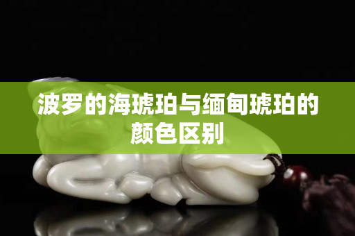 波罗的海琥珀与缅甸琥珀的颜色区别