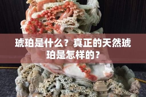 琥珀是什么？真正的天然琥珀是怎样的？