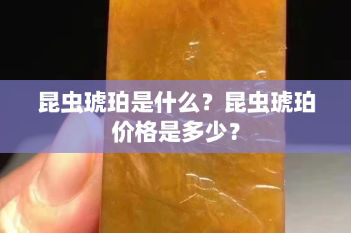昆虫琥珀是什么？昆虫琥珀价格是多少？