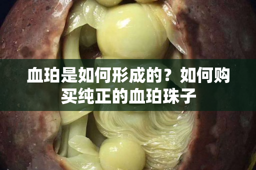 血珀是如何形成的？如何购买纯正的血珀珠子