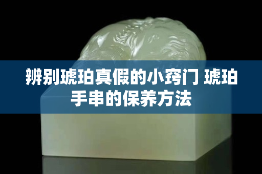 辨别琥珀真假的小窍门 琥珀手串的保养方法