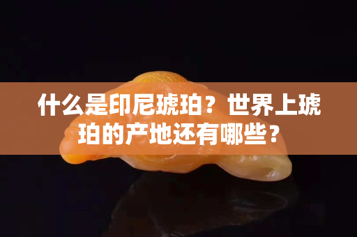什么是印尼琥珀？世界上琥珀的产地还有哪些？