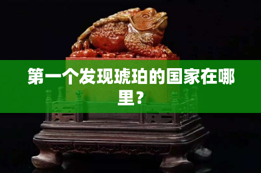 第一个发现琥珀的国家在哪里？