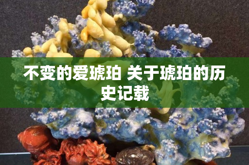 不变的爱琥珀 关于琥珀的历史记载
