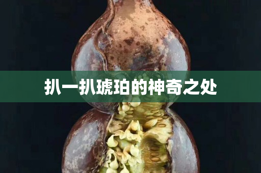 扒一扒琥珀的神奇之处
