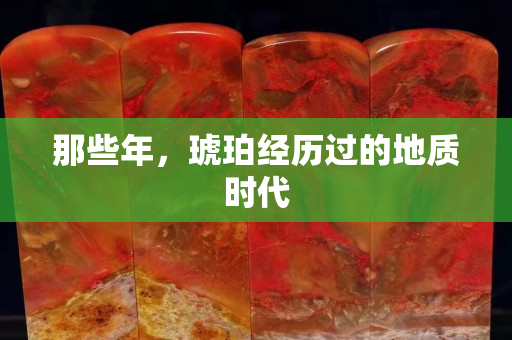 那些年，琥珀经历过的地质时代