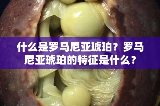 什么是罗马尼亚琥珀？罗马尼亚琥珀的特征是什么？
