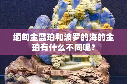 缅甸金蓝珀和波罗的海的金珀有什么不同呢？