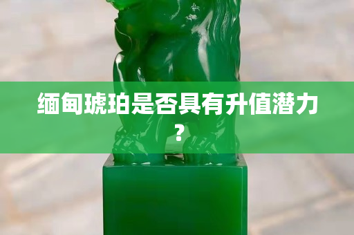 缅甸琥珀是否具有升值潜力？