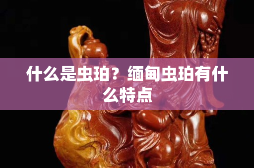什么是虫珀？缅甸虫珀有什么特点