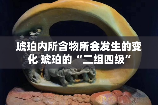 琥珀内所含物所会发生的变化 琥珀的“二组四级”